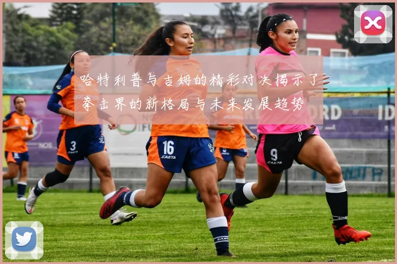 哈特利普与吉姆的精彩对决揭示了拳击界的新格局与未来发展趋势