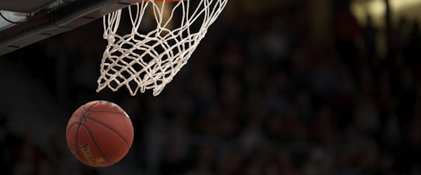 美国职业篮球联赛NBA标志
